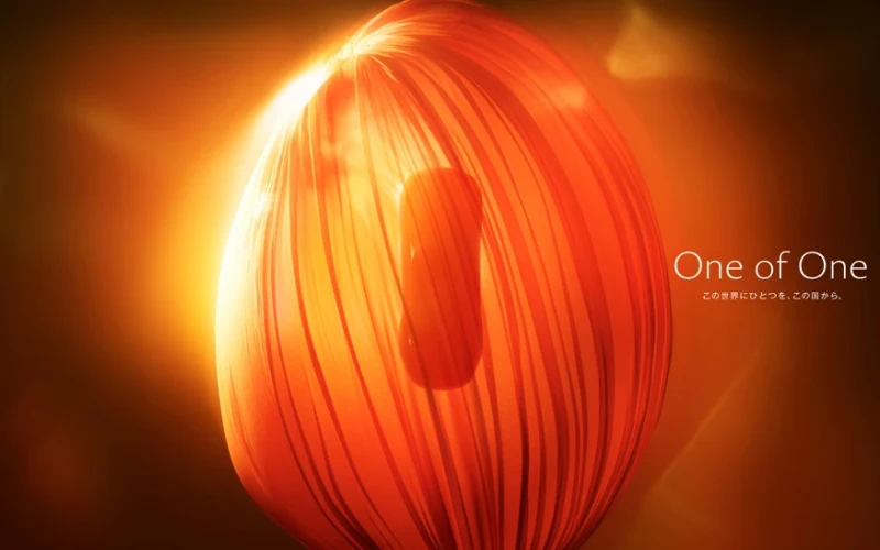 Japan_Mobilitasi_kiallitas_Century (6)